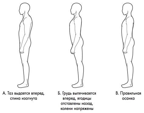 Правильная осанка и коррекция позы для повышения роста