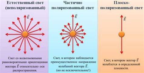 Правильное размещение и настройка диффузоров для получения мягкого и рассеянного света