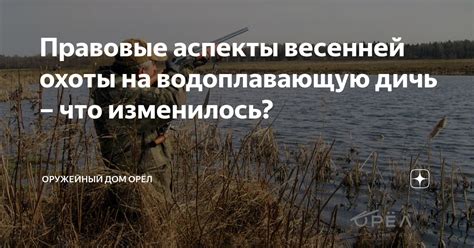 Правовые аспекты охоты