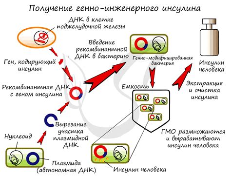 Предотвращение размножения бактерий