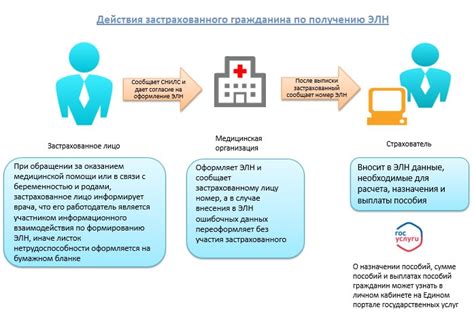 Предписание и сроки оплаты чрезмерных санкций