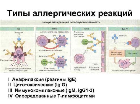 Предупреждение аллергических реакций при употреблении жареного миндаля: рекомендации и нюансы