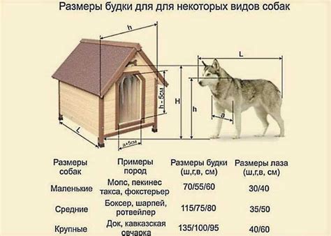 Преимущества вольера для корги