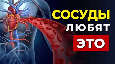 Преимущества для сердечно-сосудистой системы