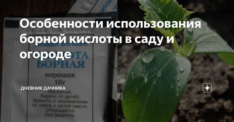 Преимущества использования борной кислоты в борьбе с грызунами