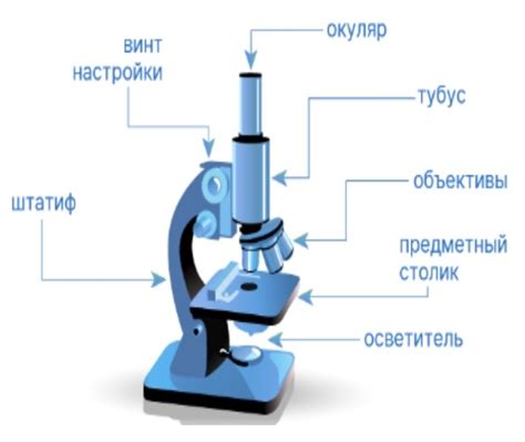 Преимущества использования лупы