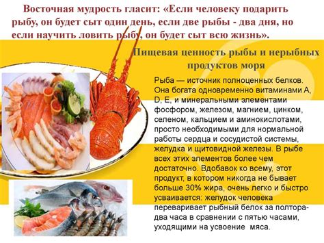 Преимущества и недостатки употребления органов осьминога из продуктов моря