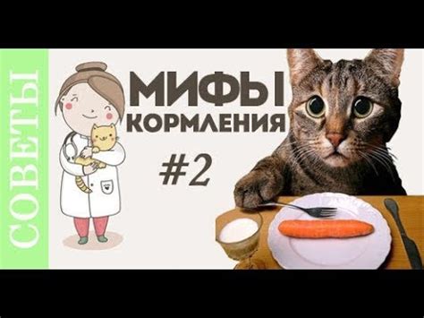 Преимущества коровьего молока для маленьких животных