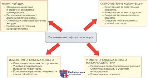 Преимущества постоянной основы