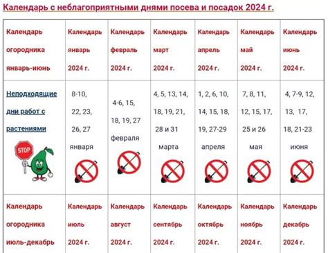 Преимущества смешанной посадки для садовода