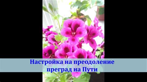 Преодоление возможных преград на пути к открытию пути для поезда в мире Гренни