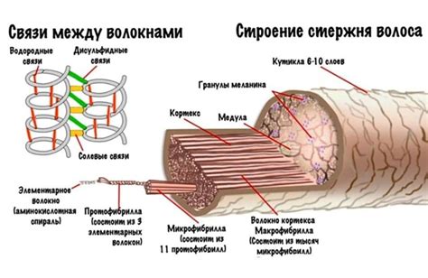 Прерывание связей волос