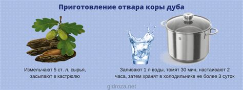 Приготовление эффективного отвара из коры дуба: секреты и рецепты