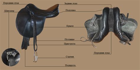 Признаки несовместимости седла у лошади