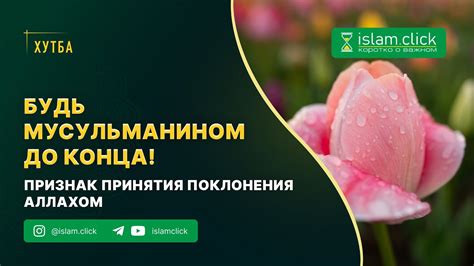 Признак покорности и поклонения