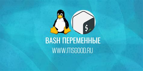 Применение переменных окружения в скриптах bash