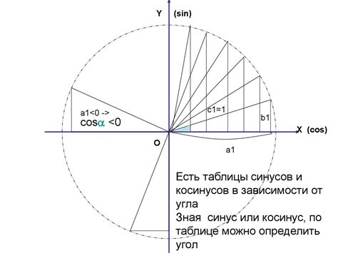 Применение синуса в математике