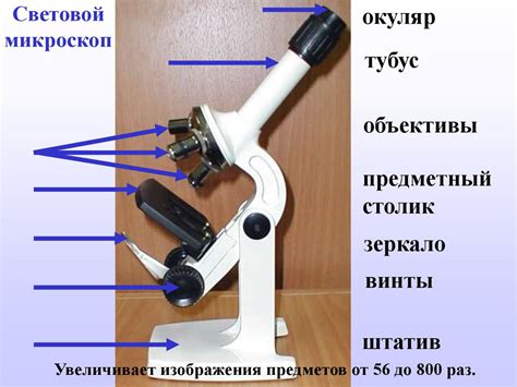 Применение увеличительных приборов