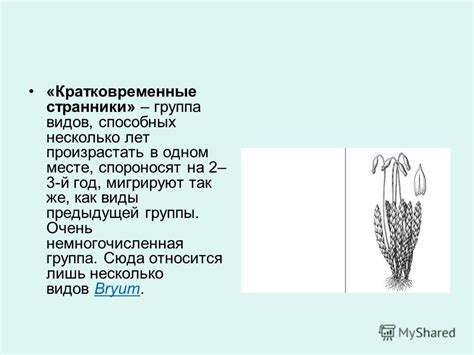 Примеры видов, способных произрастать без солнца: