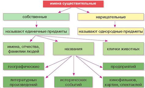 Примеры использования нарицательных существительных 3 класса