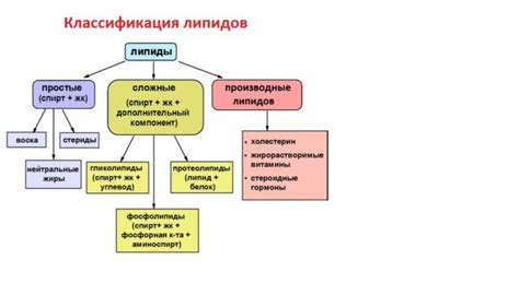 Примеры липидов в теплоизоляции