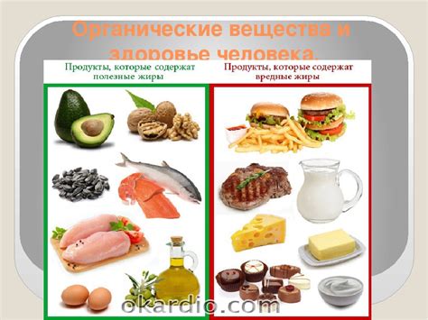 Примеры продуктов с минимальным содержанием сахара и жиров