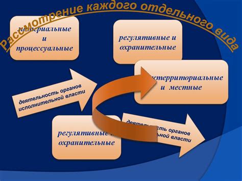 Примеры специальных норм: особенности и характеристики