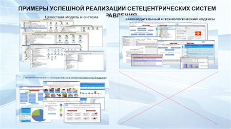 Примеры успешной реализации