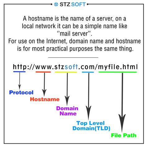 Примеры host name