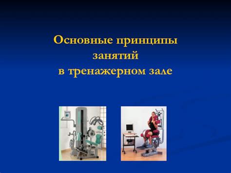 Принципы безопасности в тренажерном зале