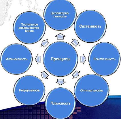 Принципы и цели контрактного управления