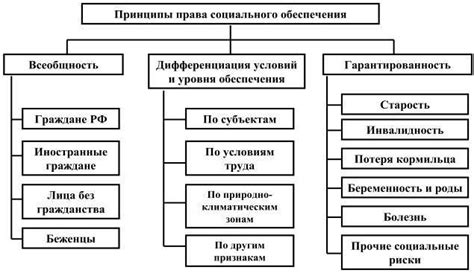 Принципы социального мобилизма в германском обществе