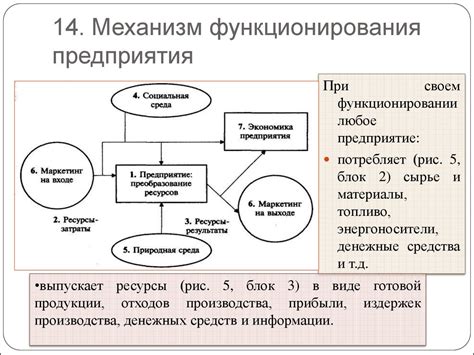 Принцип и механизм функционирования