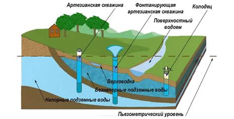 Принцип работы метода обнаружения подземных водных ресурсов с использованием листьев лозы