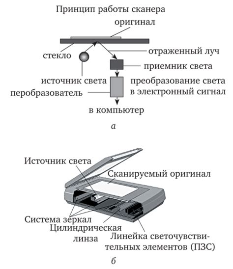 Принцип работы сканера на металлические предметы