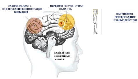 Причина внимания