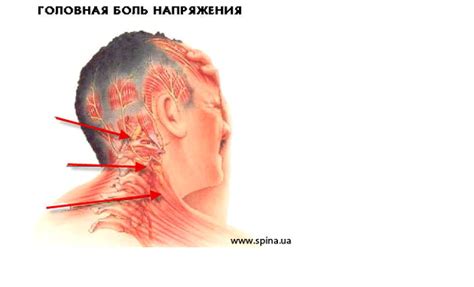 Причины возникновения шарика на шейной мышце