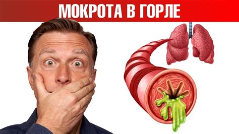 Причины затруднений в выходе мокроты