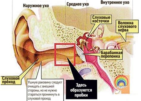 Причины зуда в ушах