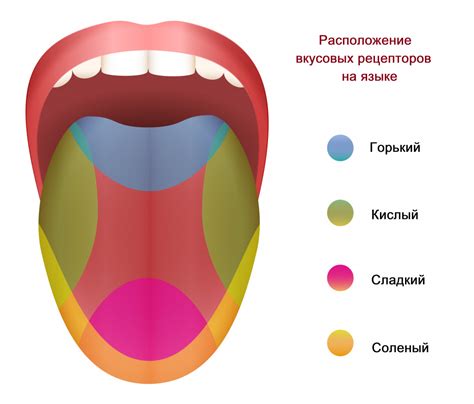 Причины изменения вкуса и цвета чая со временем