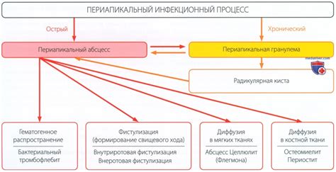 Причины и механизмы движения