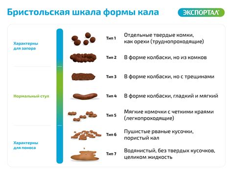 Причины и симптомы наличия микроорганизмов в образцах кала у взрослых