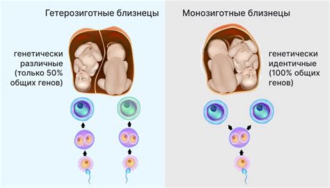 Причины и симптомы чиха