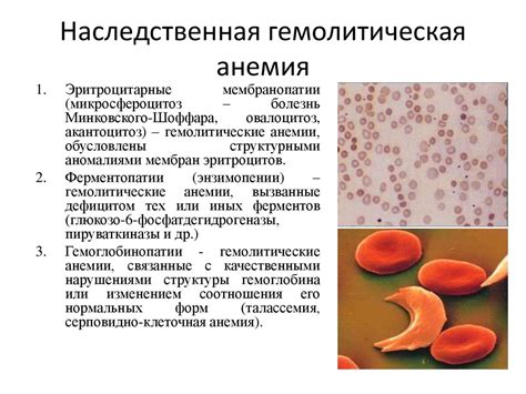 Причины нарушения системы кроветворения