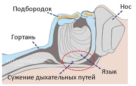 Причины насморка и его воздействие на сон