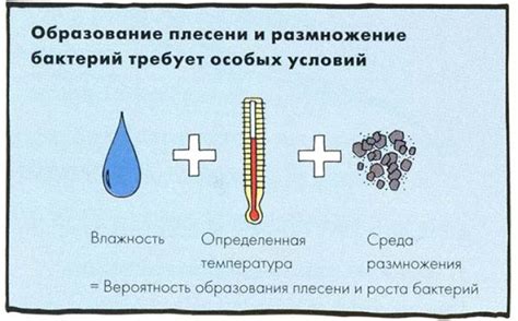 Причины образования плесени