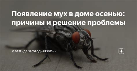 Причины появления мух осенью в доме