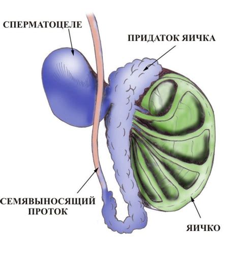 Проблема с шариком в яичке у ребенка