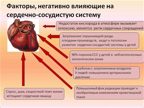 Проблемы, связанные с функционированием сердечно-сосудистой системы