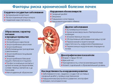 Проблемы с минеральным обменом почек: вызывающие факторы и признаки